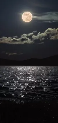 This live wallpaper showcases a mesmerizing digital art featuring a serene body of water with a full moon rising in the black night sky