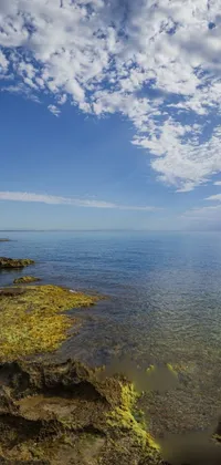 Experience the beauty of an Australian beach with this stunning live wallpaper