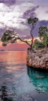This live phone wallpaper captures a peaceful tree perched atop a rock amidst ocean waves