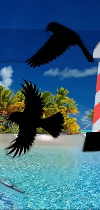 This live wallpaper features an airbrush painting of a bird flying over a boat on a tranquil body of water