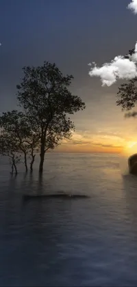 This phone live wallpaper showcases two trees peacefully immersed in shimmering water
