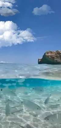 Experience the thrill of surfing with this phone live wallpaper