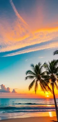 Orange sunset on the tropic beach background - Beach Wallpapers