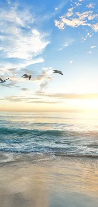 This live wallpaper features a serene landscape with a flock of birds soaring over a tranquil beach by the ocean