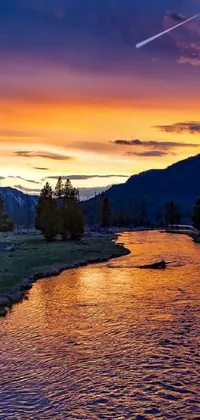 sunset Live Wallpaper