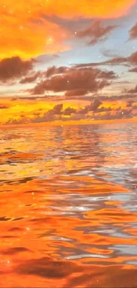 This live wallpaper sunset ocean water phone background boasts beautiful vibrant orange hues