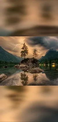 The phone live wallpaper showcases a stunning landscape that features an awe-inspiring tree resting on a rocky island in the midst of a tranquil lake