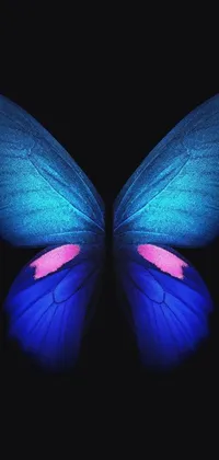 Colorful Invertebrate Light Live Wallpaper