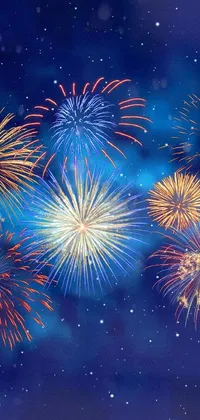 Colorful Outdoor Object Fireworks Live Wallpaper