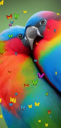 Colorfulness Bird Organism Live Wallpaper
