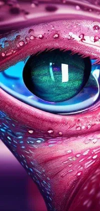 Colorfulness Eyebrow Eye Live Wallpaper