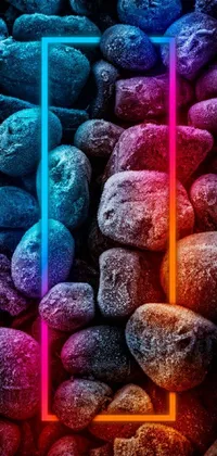 Colorfulness Food Photograph Live Wallpaper