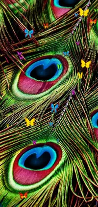 This live wallpaper showcases a breathtaking close-up of peacock feathers, captured in brilliant detail by a renowned art photographer