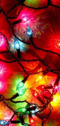 Colorfulness Light Branch Live Wallpaper