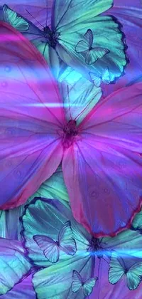 Colorfulness Plant Flower Live Wallpaper
