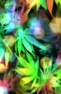 colorful weed wallpaper