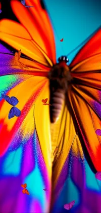 Colorfulness Pollinator Petal Live Wallpaper