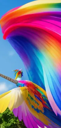 Colorfulness Sky Light Live Wallpaper