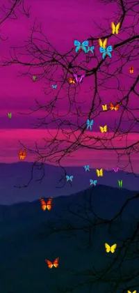 Colorfulness Sky Purple Live Wallpaper