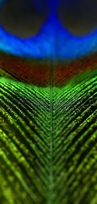This phone live wallpaper features a captivating close up view of a peacock feather in stunning 4K resolution