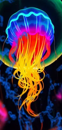 Colorfulness Water Light Live Wallpaper
