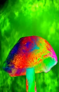 Colorfulness Water Mushroom Live Wallpaper