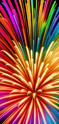 Colorfulness Writing Implement Art Live Wallpaper