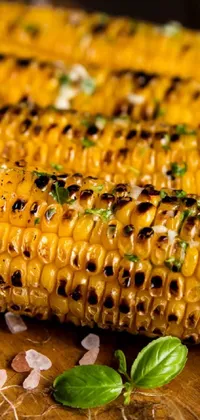 Corn Kernels Corn Food Live Wallpaper