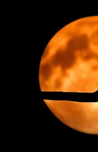 Crescent Astronomical Object Eclipse Live Wallpaper