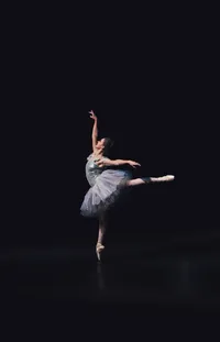 Dance Flash Photography Ballet Shoe Live Wallpaper