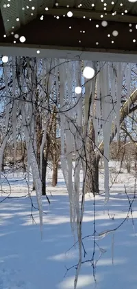 This phone live wallpaper showcases a delightful winter scene with icicles hanging from a tree in the snow