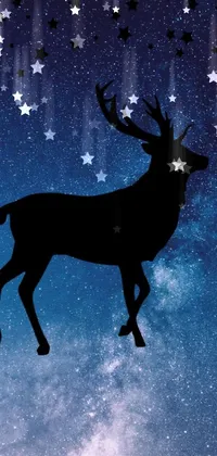 Deer Branch Elk Live Wallpaper