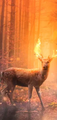 This captivating live wallpaper depicts a deer standing gracefully in a forest that is visually stunning with lush greenery and vibrant flora
