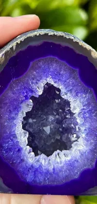 Dishware Purple Blue Live Wallpaper