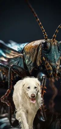 Dog Arthropod Insect Live Wallpaper