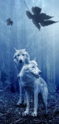 Adorn your phone screen with the captivating image of two wolves standing amidst a magical forest in this live wallpaper