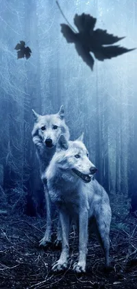 Dog Atmosphere Nature Live Wallpaper