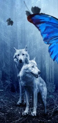 Night Among Wolves Live Wallpaper - free download