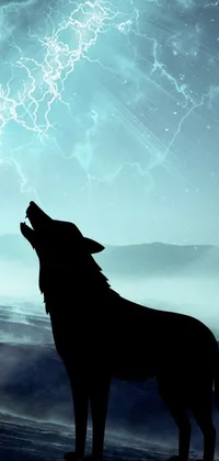 the wolf  Live Wallpaper