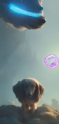 Dog Atmosphere Water Live Wallpaper