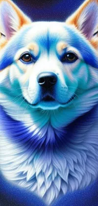 Dog Azure Blue Live Wallpaper