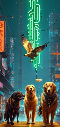 Dog Bird Light Live Wallpaper