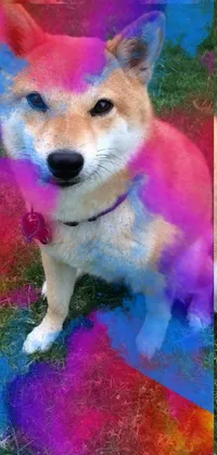 Dog Breed Blue Purple Live Wallpaper