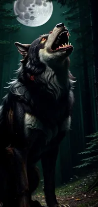 Dog Breed Carnivore Whiskers Live Wallpaper