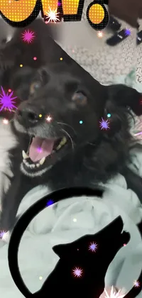 This live phone wallpaper showcases a black dog in two poses - a relaxed pointé pose with an open mouth, and a heroic action pose