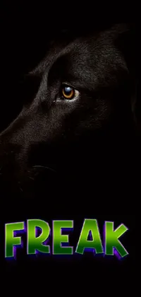 Looking for a striking digital live wallpaper for your phone? Look no further than this bold design featuring a black dog and the word "freak"