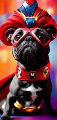 This phone live wallpaper features a small black dog wearing a red cape and hat, designed in a pop art style