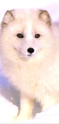 This phone live wallpaper features a cute small white dog standing in a snowy landscape with delicate snowflakes falling