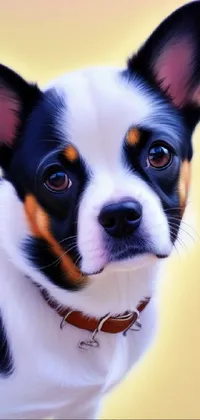 This live phone wallpaper features a high-quality digital painting of a chihuahua with black and white fur and a brown collar
