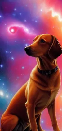 This captivating phone live wallpaper displays a majestic brown dog sitting on a rocky surface, with a stunning airbrush painting in the backdrop against a galaxy type astral plane